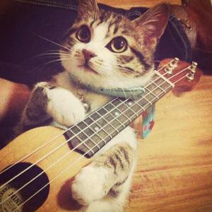 凪光老师的家教日常免费观看全集
